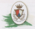 logo Castelnuovese